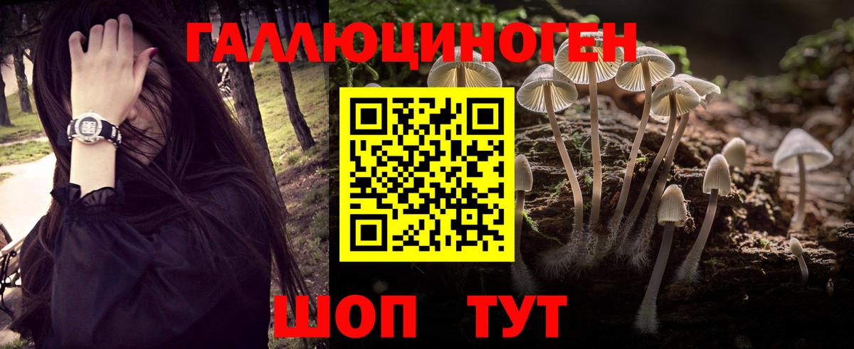Псилоцибиновые грибы MAGIC MUSHROOMS Петропавловск-Камчатский