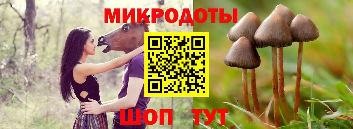 Псилоцибиновые грибы прущие грибы  Галлюциногенные грибы Cubensis  Вход с VPN  Петропавловск-Камчатский 